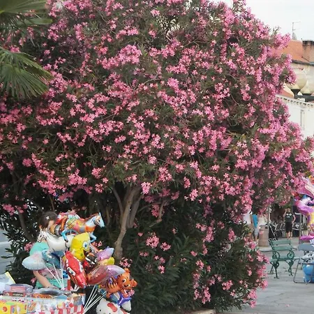 Zadarska 22 * Vodice